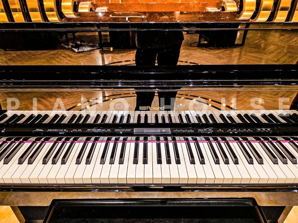 ROLAND LX-17 PE - Góc nhìn thực tế 6